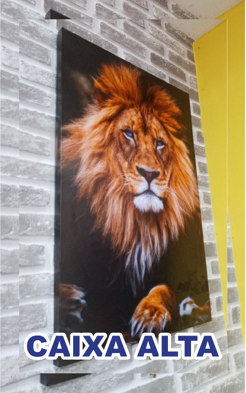 Foto em caixa alta decorativa